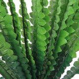 Maxbell 3 Bunch Artificial Green Boston Fern Plastic Grass Leaves Plant for Home Wedding Arrangement Decoration Size L