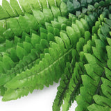 Maxbell 3 Bunch Artificial Green Boston Fern Plastic Grass Leaves Plant for Home Wedding Arrangement Decoration Size L