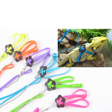 Maxbell Maxbell Parrot Bird Harness Leash Anti-bite Adjustable Light Soft Fashion Random Color