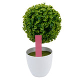 Maxbell 100 x Plastic Garden Plant Labels Nursery Stake Tags Plant Care Tools Pink