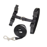 Maxbell Maxbell Black Adjustable Pet Cat Kitten Belt Nylon Collar Leash Harness Safety Strap Traction Rope