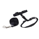 Maxbell Maxbell Black Adjustable Pet Cat Kitten Belt Nylon Collar Leash Harness Safety Strap Traction Rope