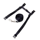 Maxbell Maxbell Black Adjustable Pet Cat Kitten Belt Nylon Collar Leash Harness Safety Strap Traction Rope