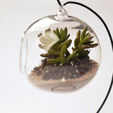 Maxbell Glass Terrarium Flower Vase Candlestick+10pcs Mini Elephant+1pc Bonsai Fence