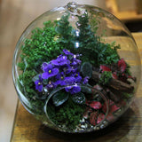 Maxbell 30x Dia. 4 Inch Clear Glass Hanging Vase Bottle for Plant Flower Decorations