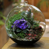 Maxbell Glass Terrarium Flower Vase Candlestick+10pcs Mini Elephant+1pc Bonsai Fence