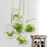 Maxbell Clear Globe Ball Glass Hanging Flower Vase Bottle + Angel Terrarium Candlestick