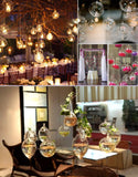 Maxbell 30x Dia. 4 Inch Clear Glass Hanging Vase Bottle for Plant Flower Decorations