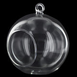Maxbell 30x Dia. 4 Inch Clear Glass Hanging Vase Bottle for Plant Flower Decorations