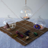 Maxbell Glass Terrarium Flower Vase Candlestick+10pcs Mini Elephant+1pc Bonsai Fence