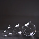 Maxbell 30x Dia. 4 Inch Clear Glass Hanging Vase Bottle for Plant Flower Decorations