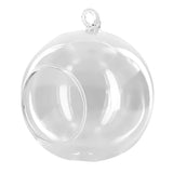 Maxbell 30x Dia. 4 Inch Clear Glass Hanging Vase Bottle for Plant Flower Decorations