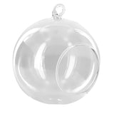 Maxbell 30x Dia. 4 Inch Clear Glass Hanging Vase Bottle for Plant Flower Decorations