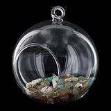 Maxbell 30x Dia. 4 Inch Clear Glass Hanging Vase Bottle for Plant Flower Decorations