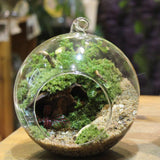 Maxbell Clear Globe Ball Glass Hanging Flower Vase Bottle + Angel Terrarium Candlestick