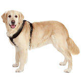 Maxbell Maxbell Dog Safety Adjustable Chest Strap Belt Harness Pet Walking Collar Strap XL