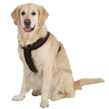 Maxbell Maxbell Dog Safety Adjustable Chest Strap Belt Harness Pet Walking Collar Strap XL