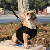 Maxbell Maxbell Breathable Mesh Pet Puppy Dog Walking Collar Chest Strap Harness Black S