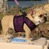 Maxbell Maxbell Soft Breathable Mesh Quick Release Buckle High Strength D-Ring Dog Harness Safety Equipment Pet Supplies Purple XS