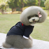 Maxbell Maxbell Pet Dog Tux Suit Wedding Costume Puppy Stylish Clothes Bow Tie Collar XL
