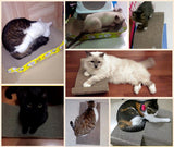 Maxbell Maxbell M-Shape Wave Corrugated Board Cat Scratcher Seize Scratch Pad Catnip Bed