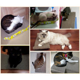 Maxbell Maxbell Wave Curved Corrugated Board Cat Scratcher Seize Scratch Pad Catnip Bed