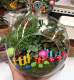 Maxbell Glass Terrarium Flower Vase Candlestick+10pcs Mini Elephant+1pc Bonsai Fence