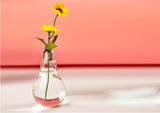 Maxbell Maxbell Bulb Shaped Transparent Table Glass Bottle Vase for Plant Flower Decoration