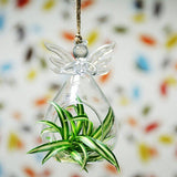 Maxbell Clear Globe Ball Glass Hanging Flower Vase Bottle + Angel Terrarium Candlestick