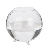 Maxbell 8xGlass Hydroponic Pot Flowers Vase Fairy Garden DIY Terrarium