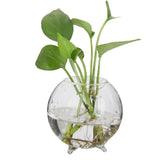 Maxbell 9xGlass Hydroponic Pot Flowers Vase Fairy Garden DIY Terrarium