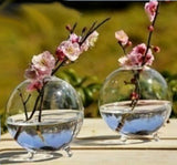 Maxbell 13xGlass Hydroponic Pot Flowers Vase Fairy Garden DIY Terrarium
