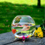 Maxbell 30xGlass Hydroponic Pot Flowers Vase Fairy Garden DIY Terrarium