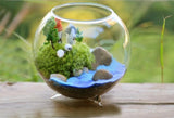 Maxbell 8xGlass Hydroponic Pot Flowers Vase Fairy Garden DIY Terrarium