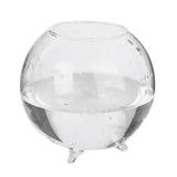 Maxbell 8xGlass Hydroponic Pot Flowers Vase Fairy Garden DIY Terrarium