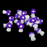 Maxbell Miniature Mushroom Mini Fairy Garden Craft Micro Decor Pink Purple Yellow