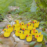 Maxbell 25xMiniature Dollhouse Fairy Garden Micro Landscape Decor - Duck 20pcs