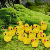Maxbell 25xMiniature Dollhouse Fairy Garden Micro Landscape Decor - Duck 20pcs