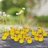 Maxbell 25xMiniature Dollhouse Fairy Garden Micro Landscape Decor - Duck 20pcs
