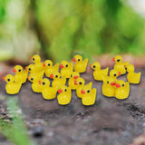 Maxbell 7xMiniature Dollhouse Fairy Garden Micro Landscape Decor - Duck 20pcs