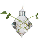 Maxbell Maxbell Glass Wall Hanging Vase Bottle Rhombus Bulb for Plant Flower Decorations