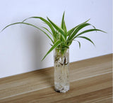 Maxbell 9xGlass Hydroponic Pot Flowers Vase Fairy Garden DIY Terrarium Container J