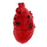 Maxbell HUMAN HEART--Chop Shop Body Part Organ Halloween Horror Prop Decorations - Aladdin Shoppers