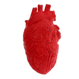 Maxbell HUMAN HEART--Chop Shop Body Part Organ Halloween Horror Prop Decorations - Aladdin Shoppers