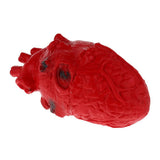 Maxbell HUMAN HEART--Chop Shop Body Part Organ Halloween Horror Prop Decorations - Aladdin Shoppers