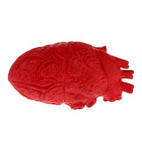 Maxbell HUMAN HEART--Chop Shop Body Part Organ Halloween Horror Prop Decorations - Aladdin Shoppers