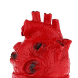 Maxbell HUMAN HEART--Chop Shop Body Part Organ Halloween Horror Prop Decorations - Aladdin Shoppers