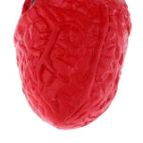 Maxbell HUMAN HEART--Chop Shop Body Part Organ Halloween Horror Prop Decorations - Aladdin Shoppers