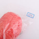 Maxbell Scary Haunted House HUMAN BRAIN Organ Body Part Halloween Horror Prop -Red