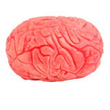 Maxbell Scary Haunted House HUMAN BRAIN Organ Body Part Halloween Horror Prop -Red
